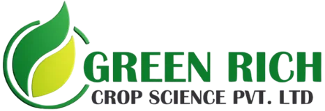 green-rich-1-e1766742378376